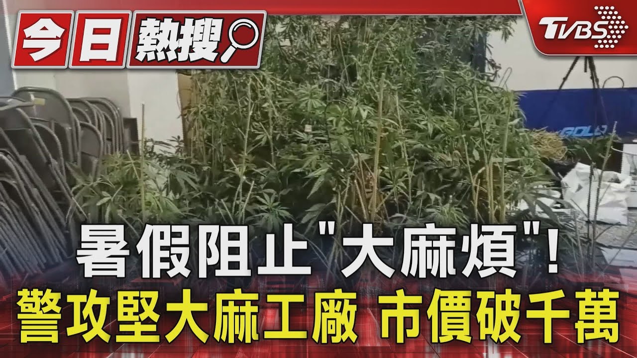 暑假阻止「大麻」煩!警攻堅大麻工廠 市價破千萬