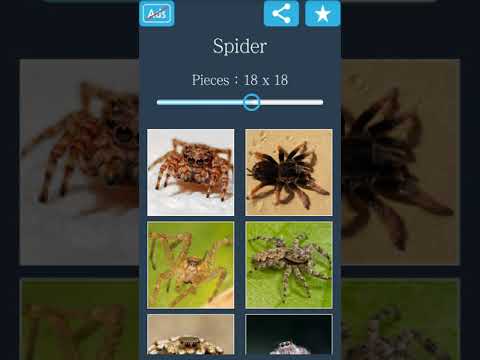 Jigsaw Puzzle: Spider Video