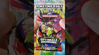 PokeYokeDaily - Episode 171- Optimale Ordnung #pokemon #pokemoncards #pokemontcg #randombooster