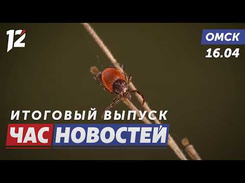 Опасность укусов клещей / ДТП с детьми / Диктант для всех. Новости Омска