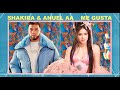 Videoklip Shakira - Me Gusta (ft. Anuel AA) (Lyric Video) s textom piesne