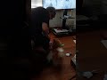 Pebble S Bark Box March 2024