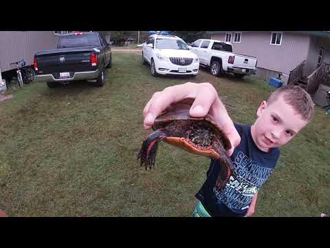 An afternoon at chesley lake