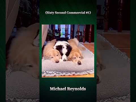 Michael Reynolds 《Sixty Second Commercial #1》