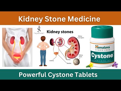 Himalaya cystone wellness tablet