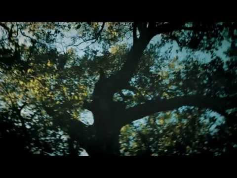 Loin video