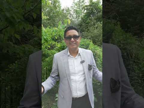 10 Mcneilage Crt, Ajax - Michelle Fraser Team