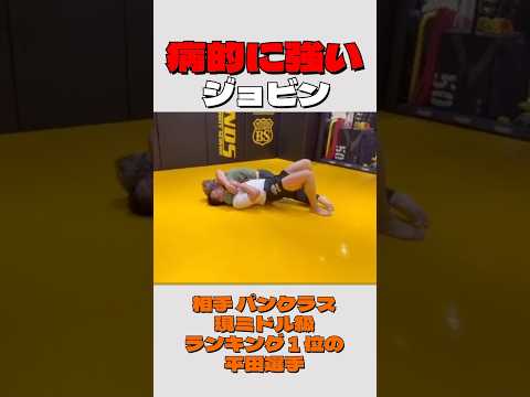 ジョビンのスパーリング映像