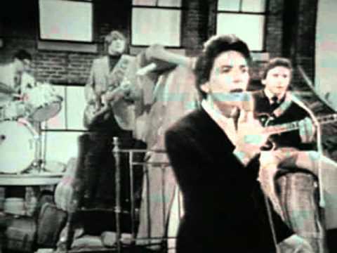 The Outsiders - Time Won´t Let Me  (1966)
