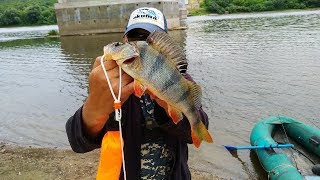 Рыбалка на оке кашира железнодорожный мост