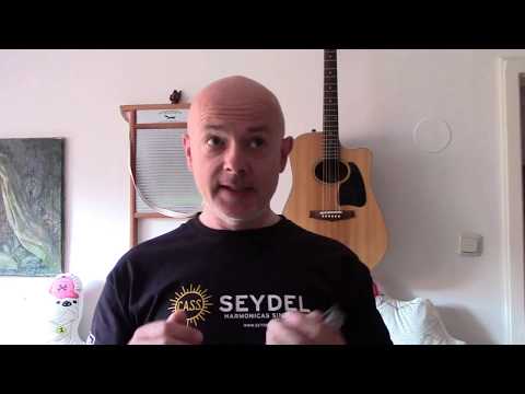 Doppelton + Shake mit Einsatz der Hand und Mundholraumveränderung - Thomas Hippe Blues Harp