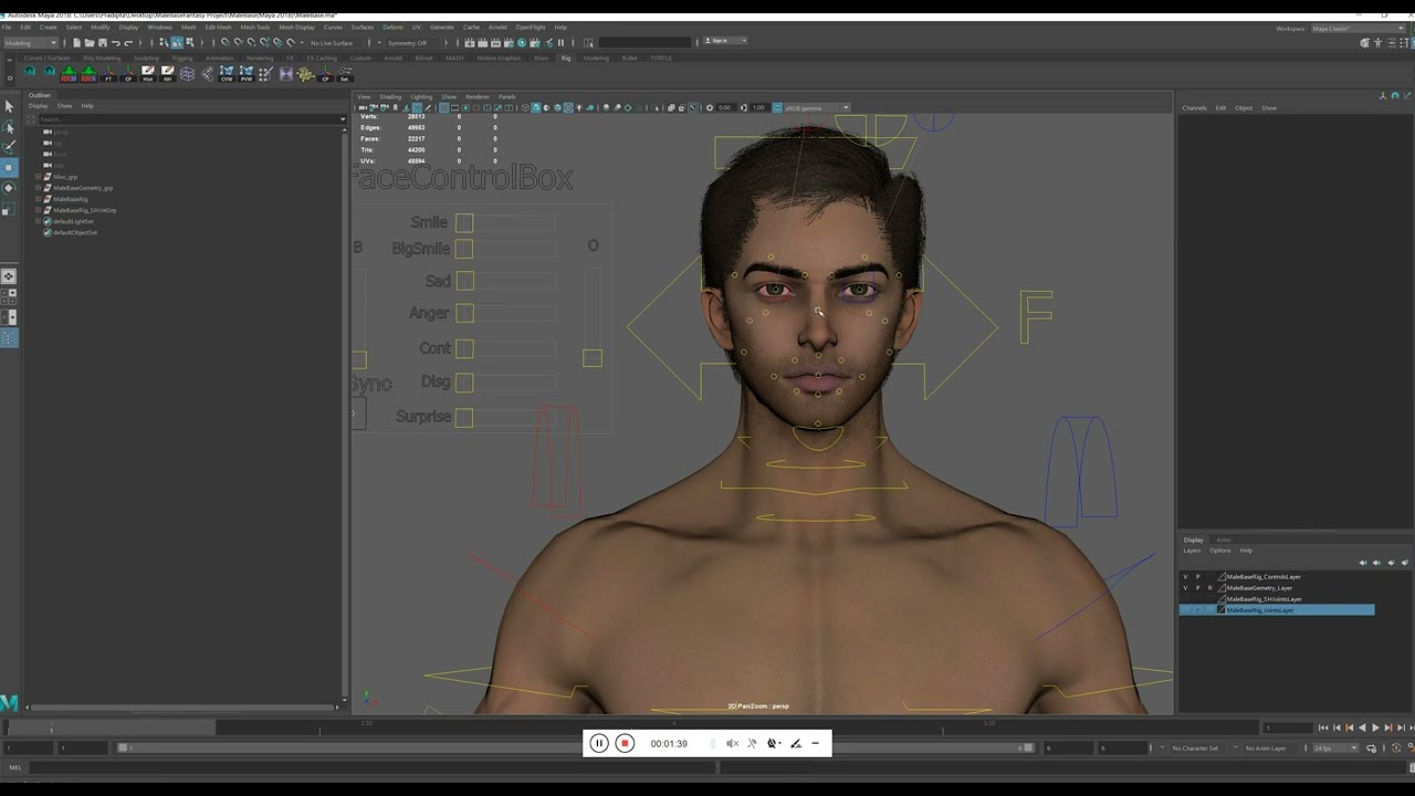 Male Base Rig 3D Model