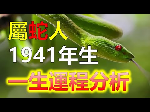 1941生肖