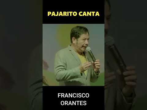 Pajarito Canta - Música Infantil