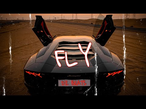 David Guetta x ZHU Type Beat - FLY Ft. Afrojack | EDM Type Beat 2021 | Dan Zoran Beats