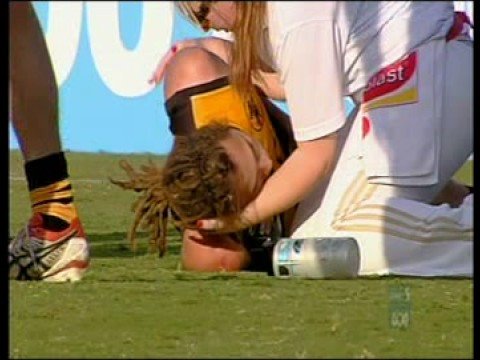 Daniel Schell Dog by name Dog by Nature