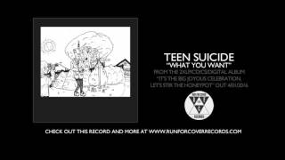 Teen Suicide - "What You Want" (Official Audio)