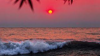 Best nature sunrise whatsapp status  Nature WhatsA