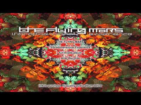 Vibradimensional Experience  by THE FLYING MARS  (Altar Records)