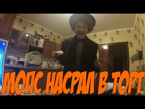 Мопс насрал в торт и отослал его Пете Пороху