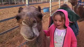 Barefoot Kiwis explore the Red Centre