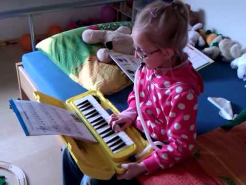 Domča 2.hodina v hudebce