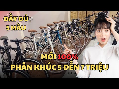 Xe đạp thể thao ĐÁNG MUA nhất phân khúc giá 7 triệu | Chevaux DK Pro 2025 | Xe Đạp 247