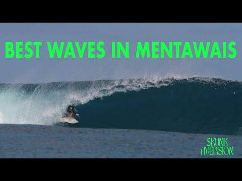 The Best Surf Spots in Northern Mentawais (Everyday Conditions)
