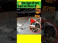 Dog Reaction Dog Sound Dog Barking Dog Videos A Dog Story Hindicountdown Shorts
