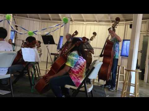 Battalia by Biber - Orchestra Novo Summer String Academy 2016