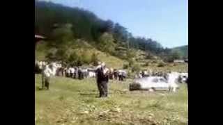 preview picture of video 'Balcı Köyü Festivali Horoz Kapma Yarışı'