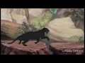 Bagheera