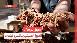 سوق عربين.. الجوز الصيني ينافس البلدي