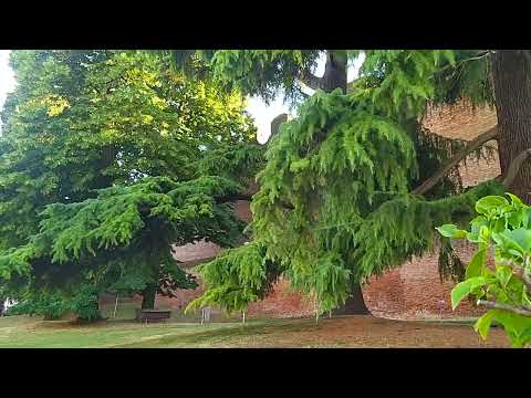 Castelfranco Veneto walking tour - beautiful Italian town