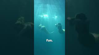 Download lagu How to shoot a movie scene underwater - H2O Behind the Scenes #h2ojustaddwater mp3