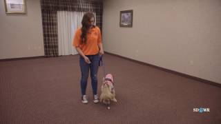 SDWR Training Soft and Hard Corrections