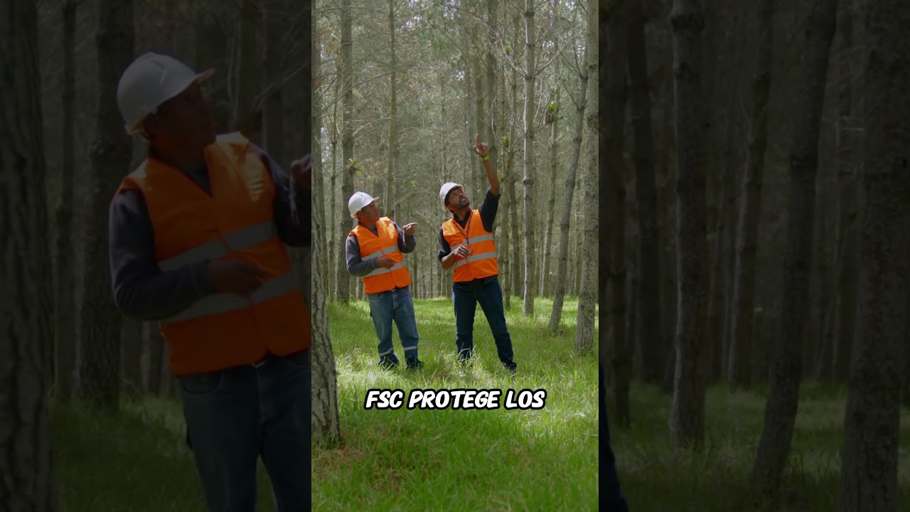 Proteger bosques... es cuidar vidas