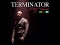 Terminator (Remix 2023)#artist :King Promise & Sean Paul ft. Tiwa Savage 🇨🇺🎶