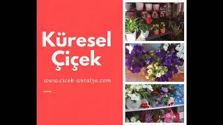 Antalyada Çiçek
