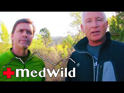 Wilderness Medicine: Snake Bites (Rattlesnake envenomations)