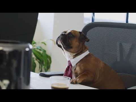 జంతు ప్రపంచం.9