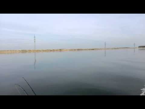 05.03.2016 - Olt / Frunzaru