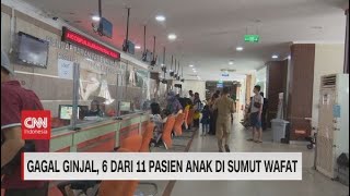Gagal Ginjal, 6 Dari 11 pasien Anak di Sumut Wafat