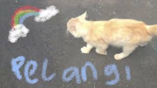 Download lagu HIVI - Pelangi (slowed) mp3