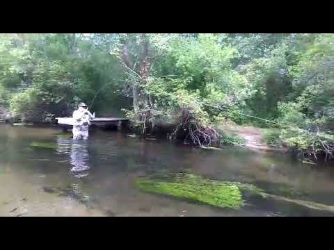 Connetquot,  flyfishing,  big mama rainbow