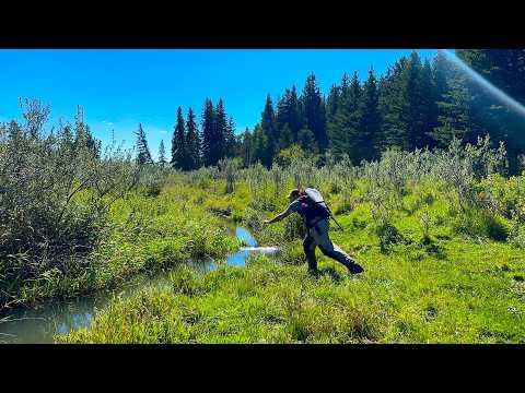 Traveling across Saskatchewan to find Trout - Catch n Cook