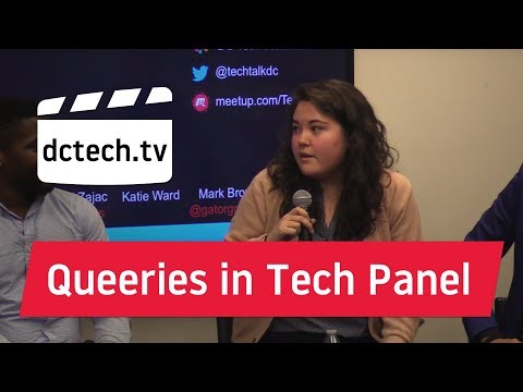 Queeries in Tech: Panel Discussion presented at Tech Talk DC