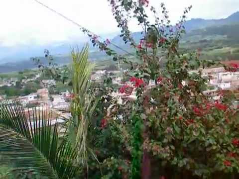 Vista De Carrillo Puerto, Nayarit. SEP 2008