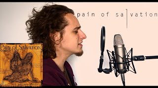 Undertow (Pain of Salvation) - Acoustic Cover by Leo Düzey