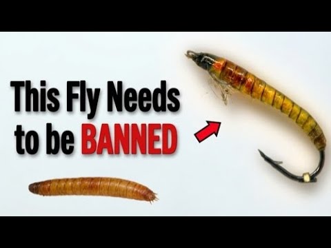 Trout Can't Resist This REALISTIC Fly Pattern